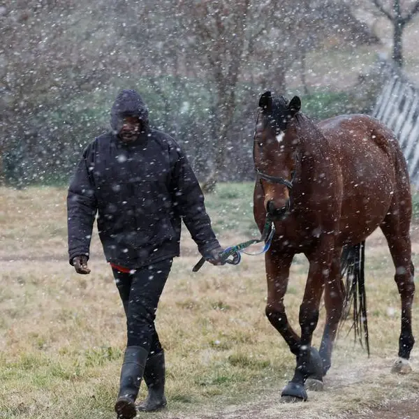 Rare snowfall dusts Johannesburg, parts of South Africa