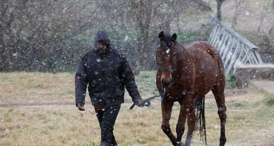 Rare snowfall dusts Johannesburg, parts of South Africa