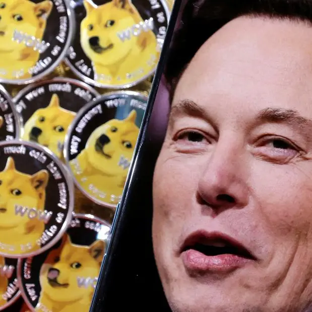 Elon Musk frees the bird and the dog coin flies