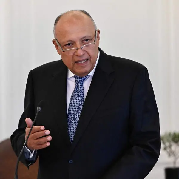 Egypt’s Shoukry urges unified action to halt Gaza war, demands Israel bear legal responsibility