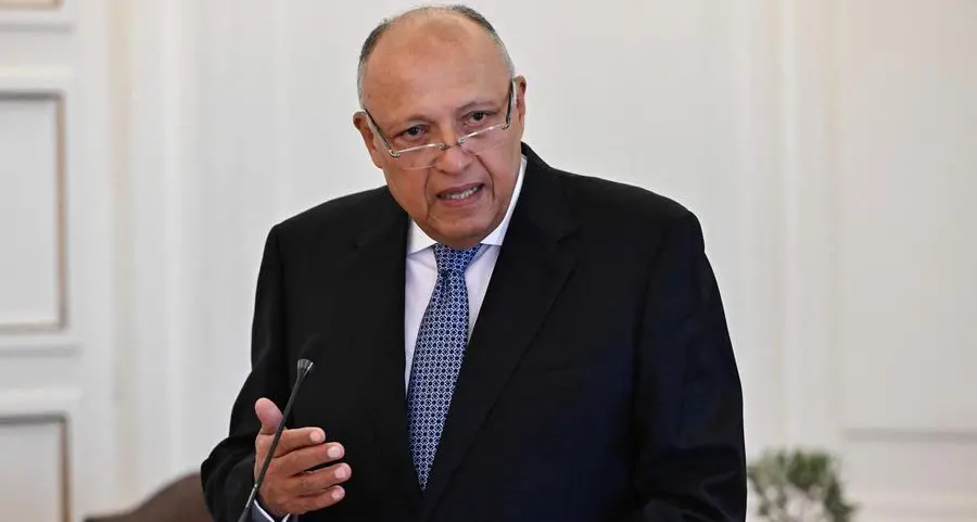 Egypt’s Shoukry urges unified action to halt Gaza war, demands Israel bear legal responsibility