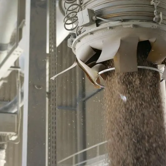 Algeria bought 690,000 to 700,000 tonnes milling wheat in tender - traders