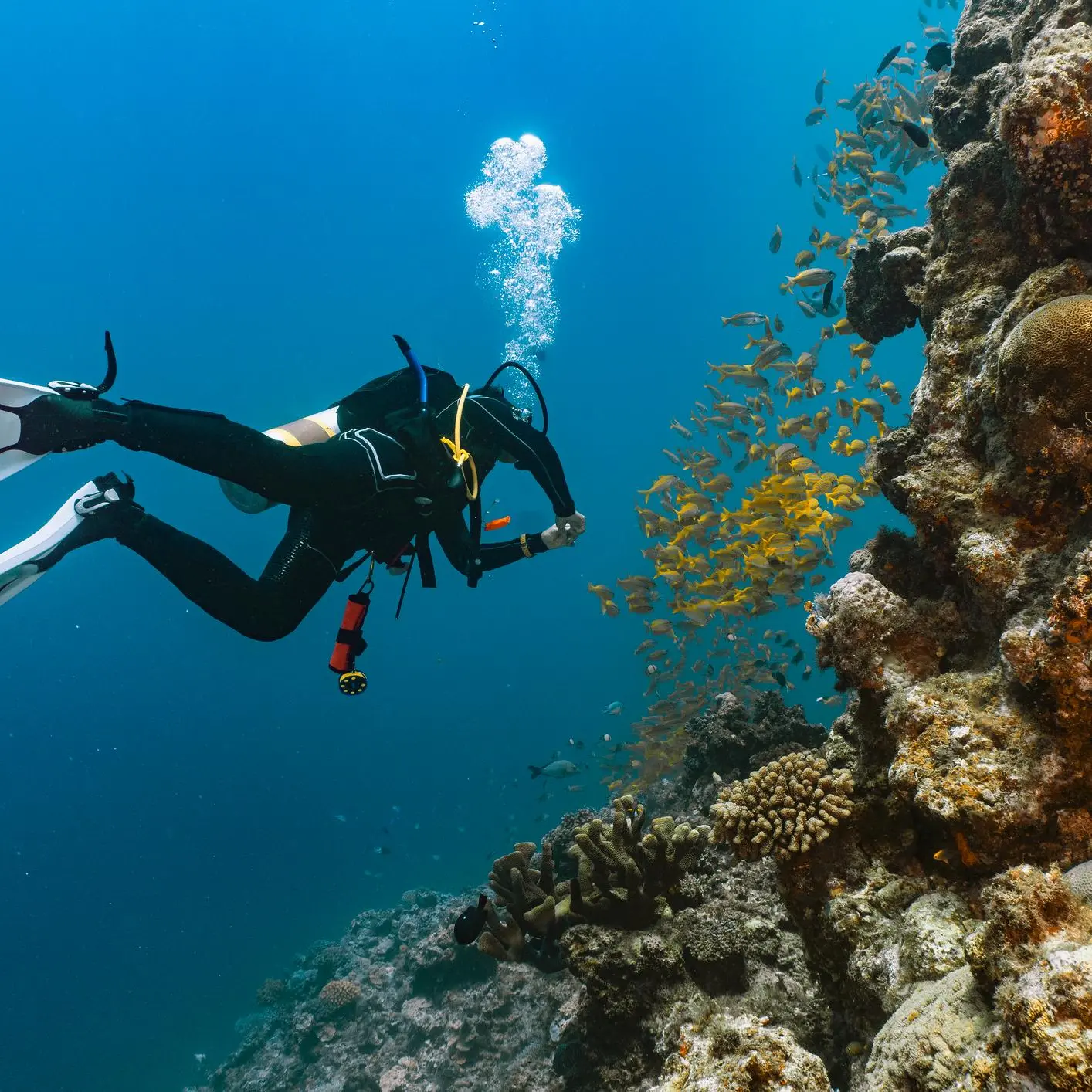 Agreement signed for phase-2 of coral reef project in Sur