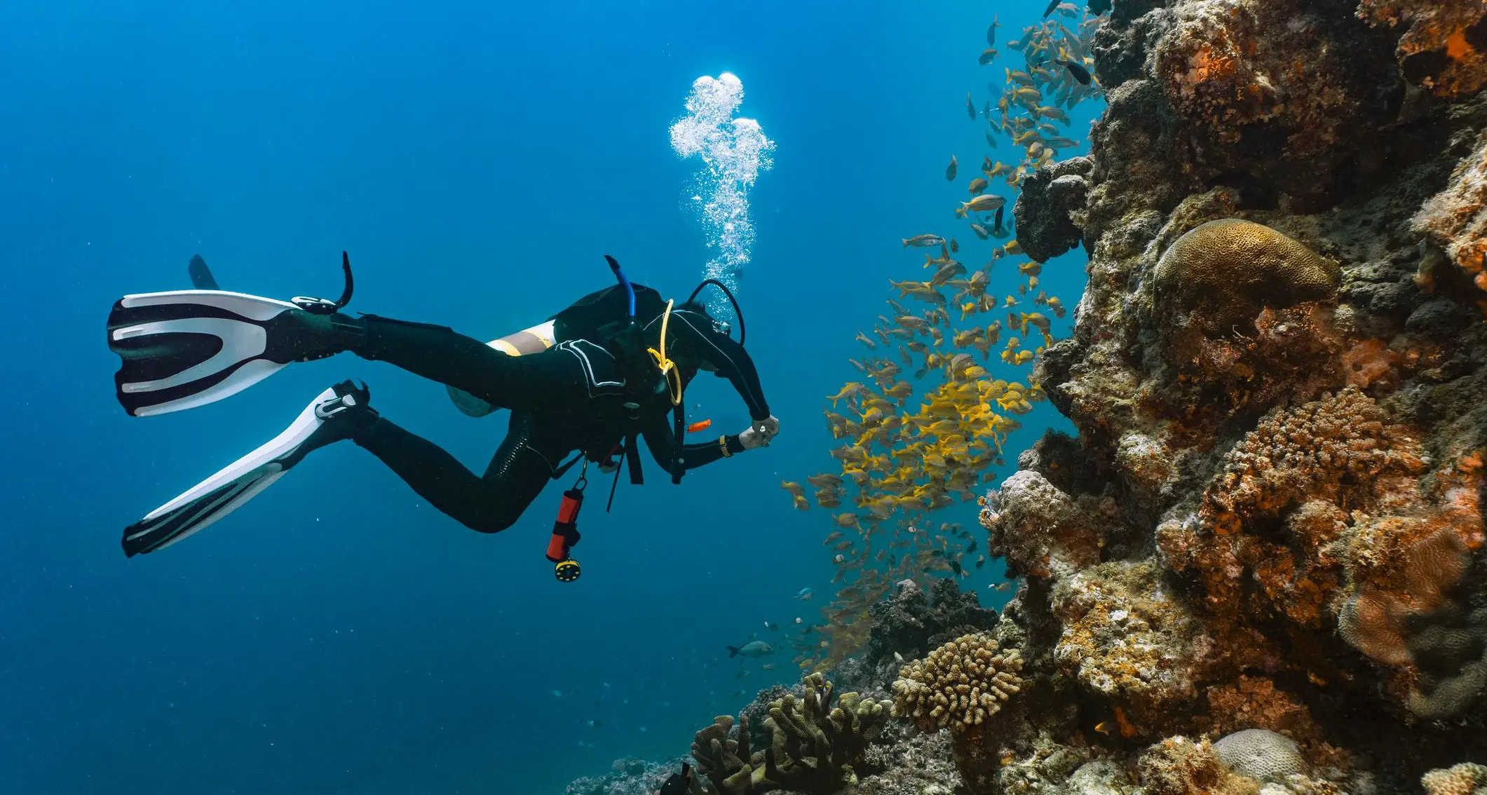 Agreement signed for phase-2 of coral reef project in Sur