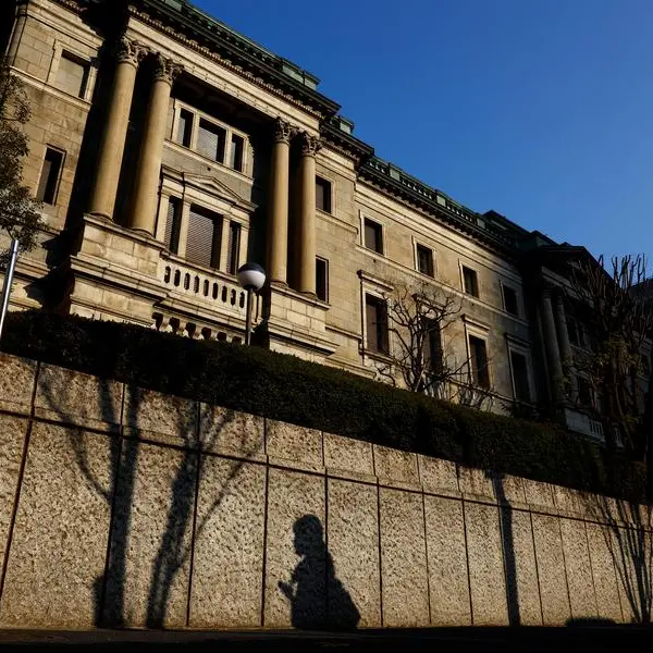 Bank of Japan board reshuffle to bring it closer to 'normal' central banking