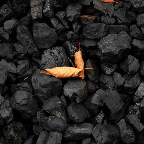 Indonesia's higher coal output target thwarted by heavy rains