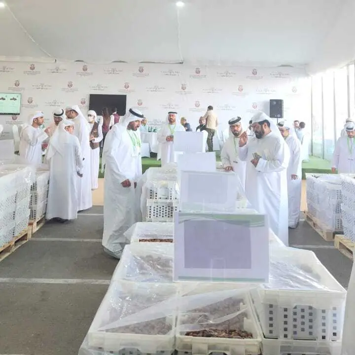 eZad platform achieves remarkable results in supporting UAE date farmers