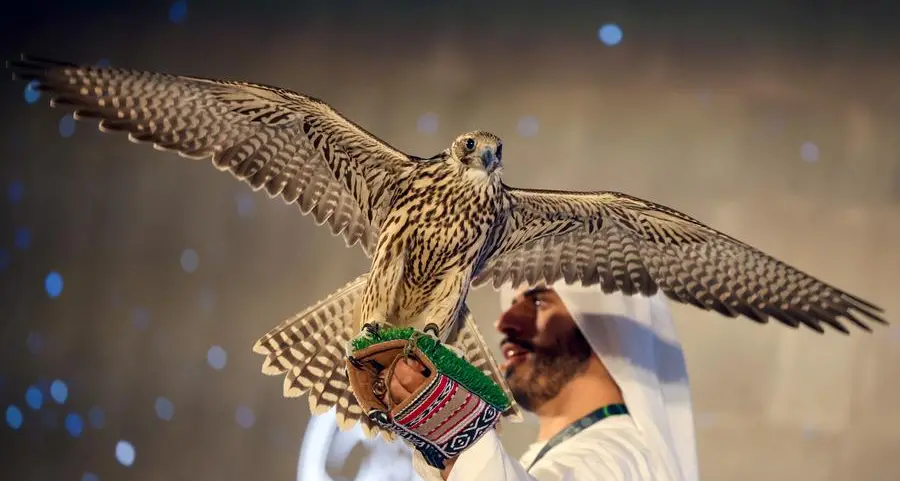 Young falconers contests from Friday in Qatar