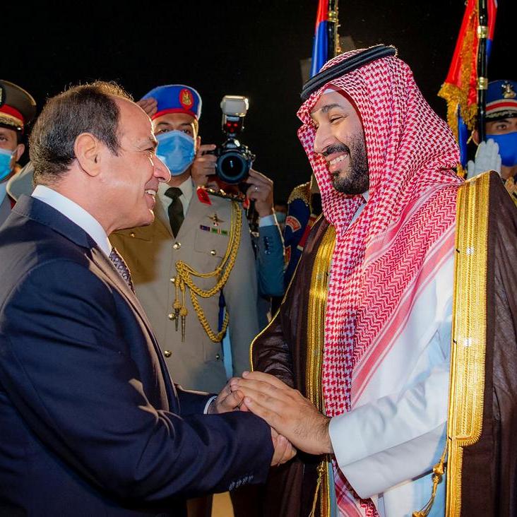 Egypt and Saudi Arabia sign 14 deals worth $7.7 bln, Saudi minister says