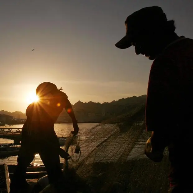 Dibba Port to open in Q1 2025 as 75% construction complete