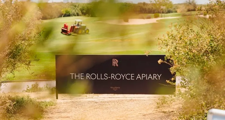 Al Zorah and Rolls-Royce Motor Cars Dubai launch environmental partnership to support biodiversity in Ajman