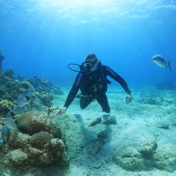 Cubans grow corals, restore ailing barrier reef on shoestring budget