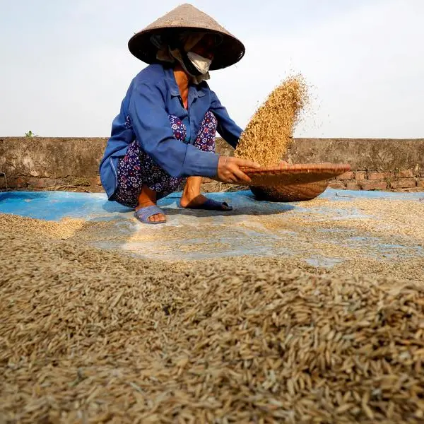 China's first rice crop of 2023 up 0.8% on year ago