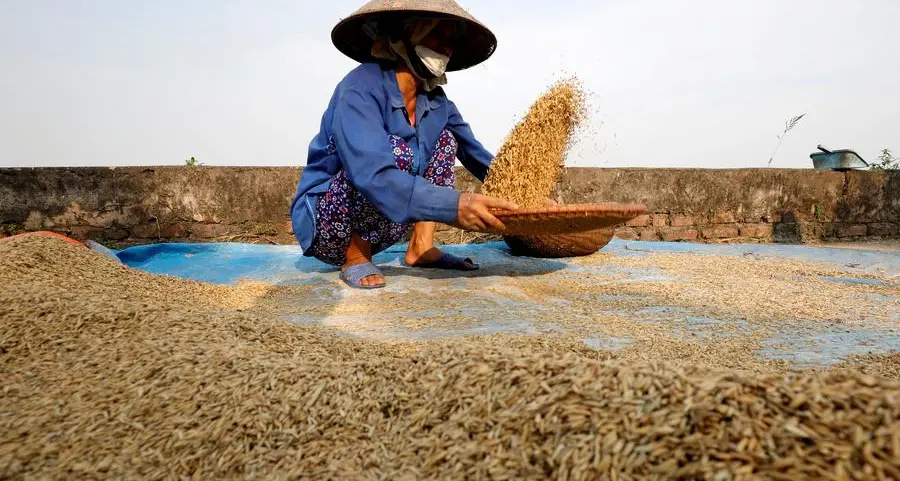 China's first rice crop of 2023 up 0.8% on year ago