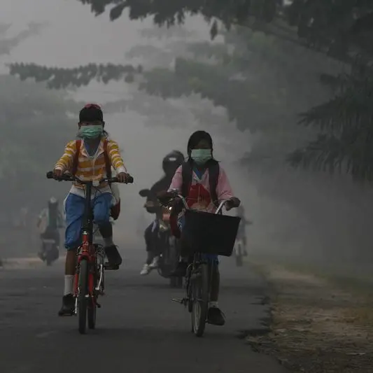 Will Indonesia's new forest pact with Norway open door to more funding?