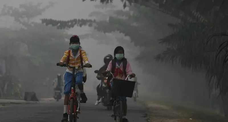 Will Indonesia's new forest pact with Norway open door to more funding?