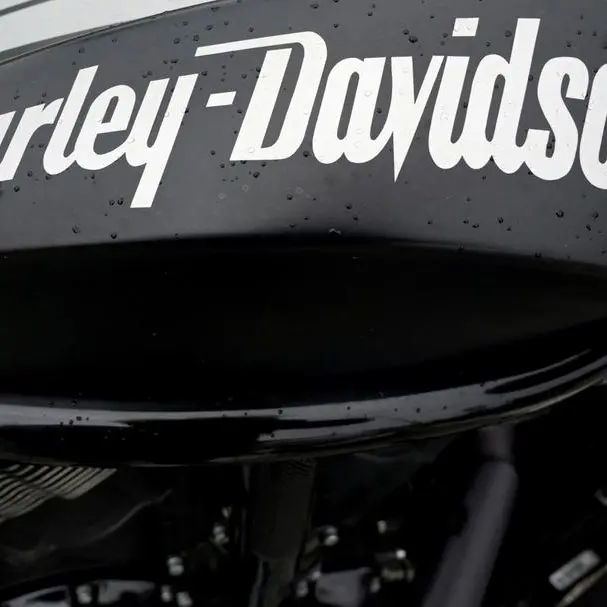 Harley-Davidson profit hit by slowing demand