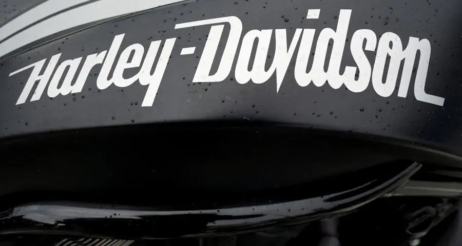 Harley-Davidson profit hit by slowing demand