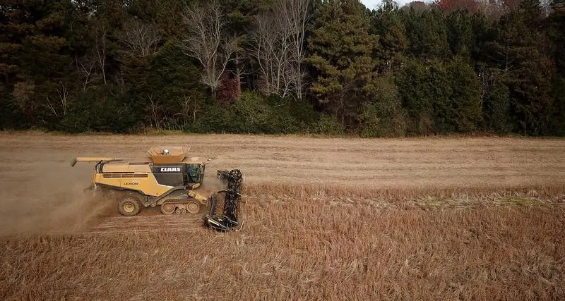 Soybeans drop, corn hits 4-year low as bumper US crops forecast