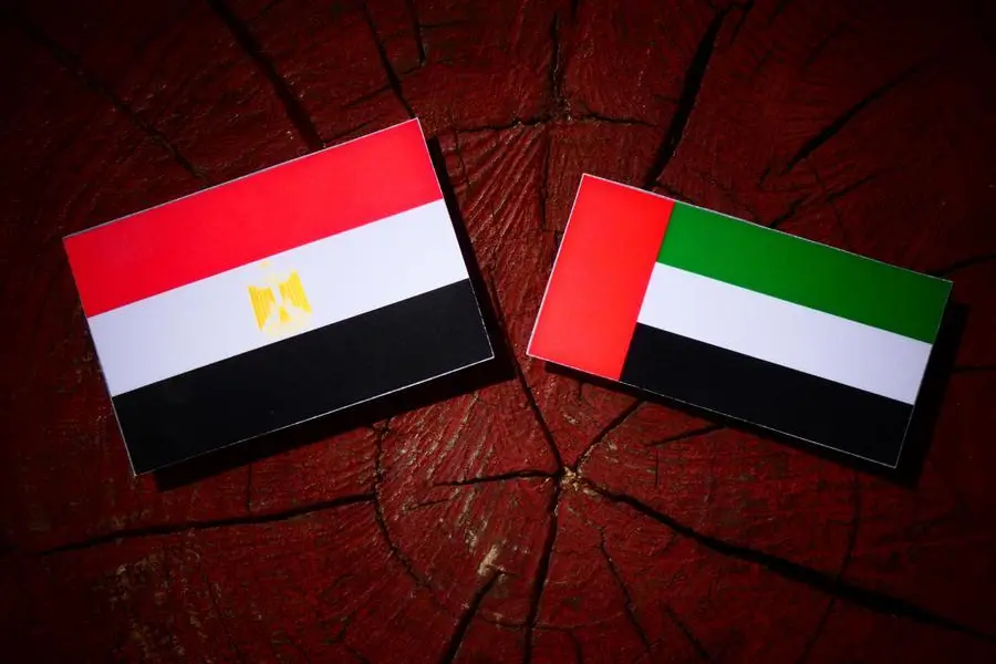 اتفاقية مصرية - إماراتية لتأسيس شركة في مجال المستلزمات الطبية