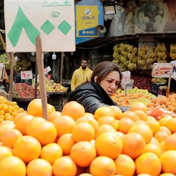Food inflation, currency collapse ‘imperil food security in MENA’