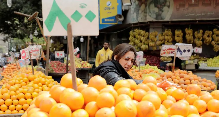 Food inflation, currency collapse ‘imperil food security in MENA’