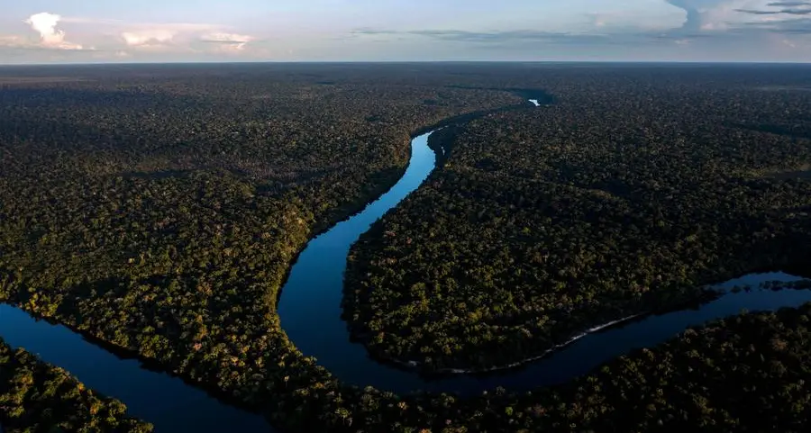 COP29: Environment takes centre stage as global summits loom