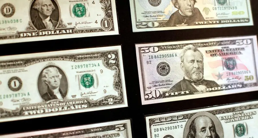 Dollar gains as traders upgrade rate outlook, risk appetite wanes