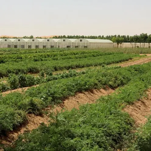 Iftar Review: Emirates Bio Farm offers farmer's twist on traditional Ramadan dishes