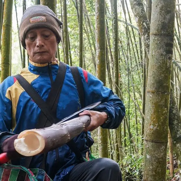 Taiwan tribe despairs as drought shrinks bamboo crop