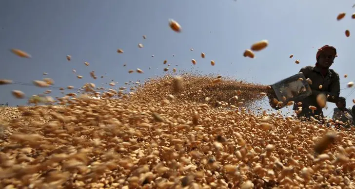 روسيا تقول إنها حصلت على إذن لتصدير القمح إلى السعودية