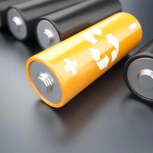 Oman Investment Authority backs US silicon battery tech firm