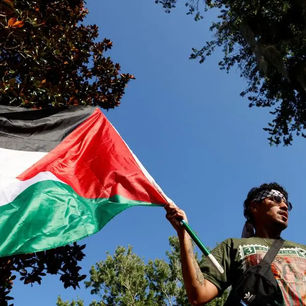 Pro-Palestinian protesters occupy university buildings in Dutch cities