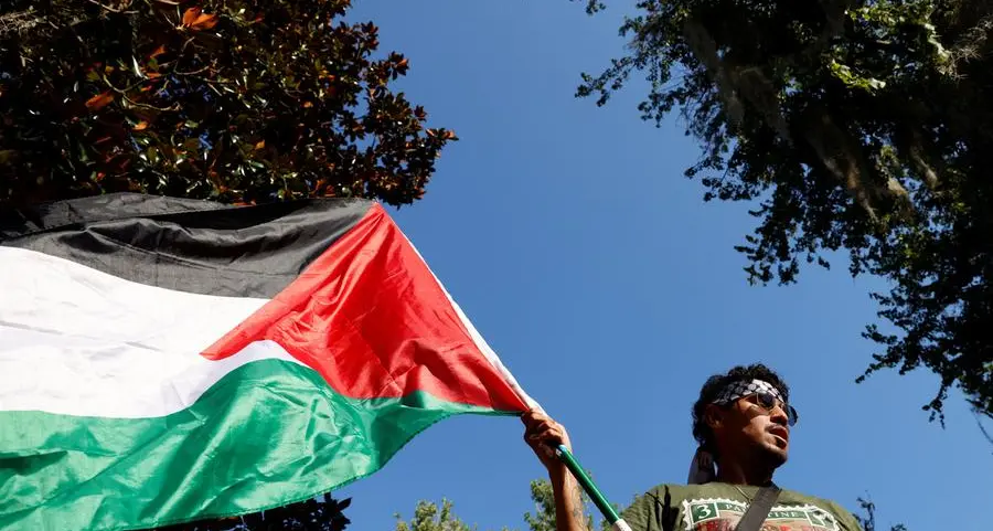 Pro-Palestinian protesters occupy university buildings in Dutch cities