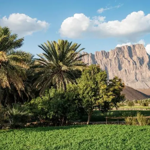 Oman: Revolutionising arid agriculture