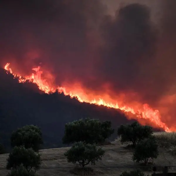 Wildfires burn coastal homes, forests in Greece as Europe's heatwave spreads east