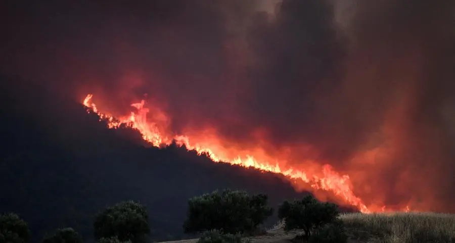 Wildfires burn coastal homes, forests in Greece as Europe's heatwave spreads east