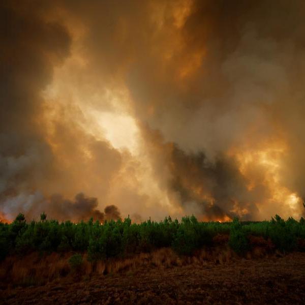 Heat, drought and wildfires during one of the warmest Julys on record: WMO