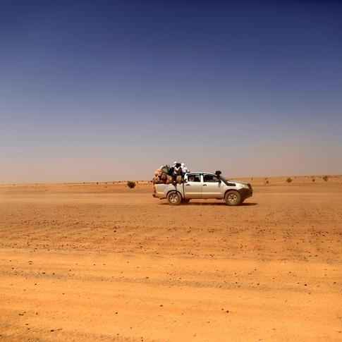 حلقة جديدة من التوتر حول الصحراء الغربية