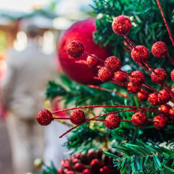 From Canada to Satwa: Fresh Christmas trees bloom in Dubai market