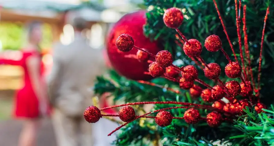 From Canada to Satwa: Fresh Christmas trees bloom in Dubai market