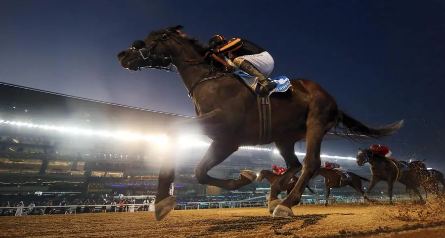 Japan mob-handed in the quest for a second $12mln Dubai World Cup