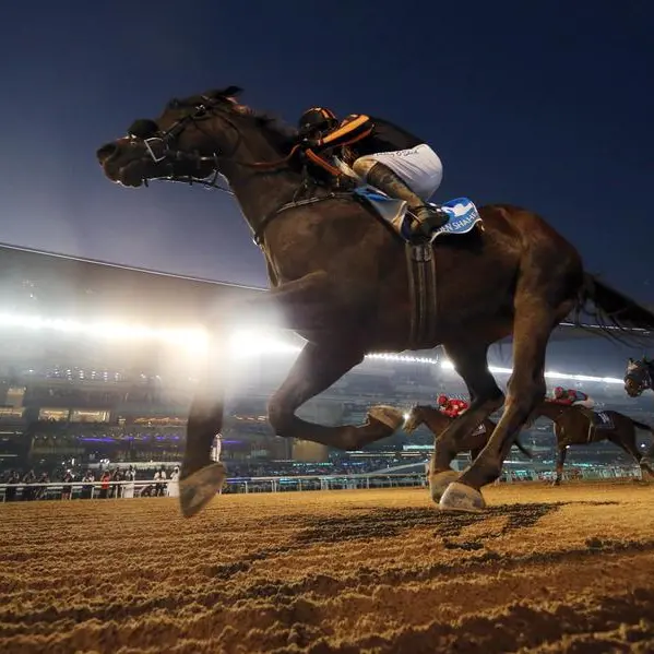 Japan mob-handed in the quest for a second $12mln Dubai World Cup