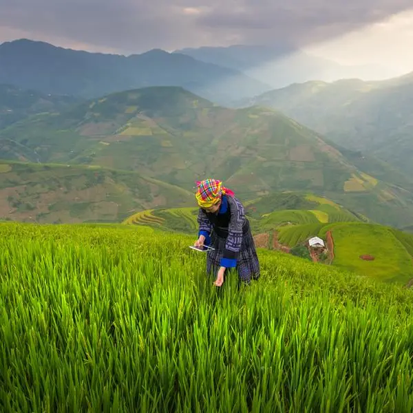 Vietnam, New Zealand foster agriculture economies