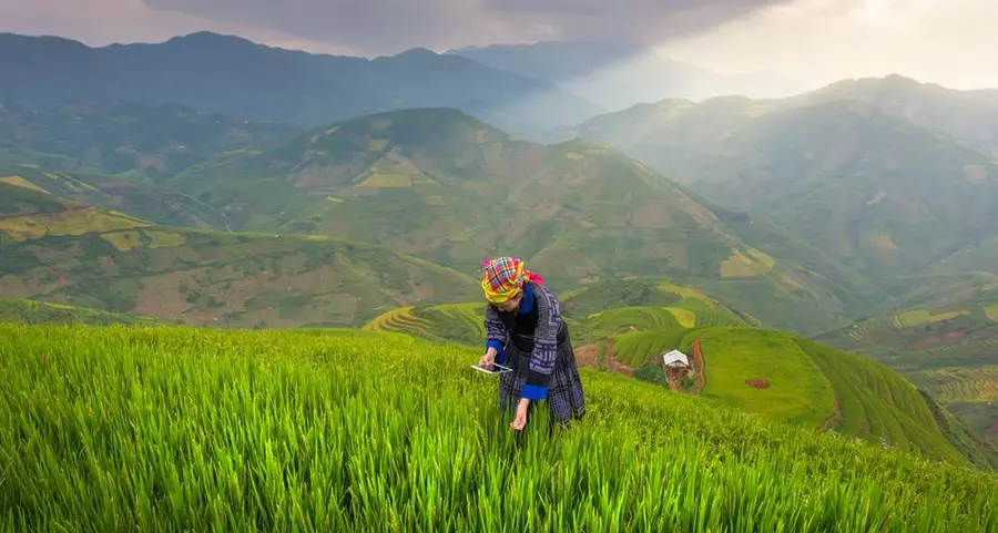 Vietnam, New Zealand foster agriculture economies