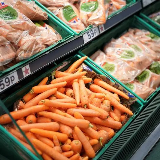 مجلس إدارة شركة وفرة للصناعة والتنمية السعودية  يوصي بتخفيض رأس المال إلى النصف تقريباً 