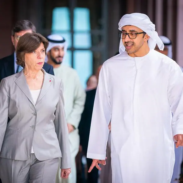 UAE, France foreign ministers discuss strategic partnership