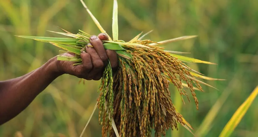 $97mln factory in Oman's Khazaen Economic City to produce animal feed