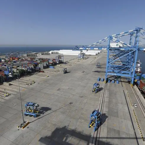 82.4% surge in Abu Dhabi Ports container volume in H1 2019