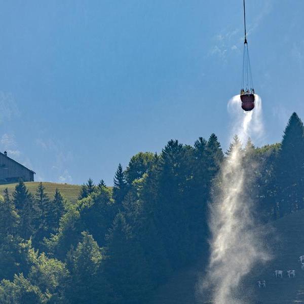 Swiss army airlifts water to thirsty animals in Alpine meadows